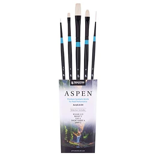 Princeton Aspen 6500 Series Paint Brushes