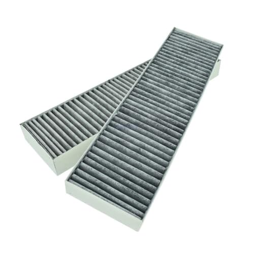 EVAYP Beko Grundig Arcelik 165265001 Lot de 2 filtres à charbon actif pour hotte aspirante