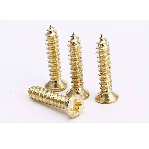 法螺貝32cm 法螺貝③ 法螺貝 35cm ZX 30 / ZX 35 / ZX 40 / ZX43 | ECOGEAR