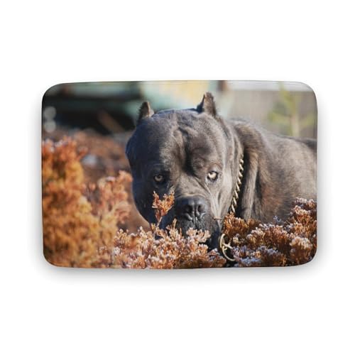  TGh   oX}bg z/唻 փ}bg  O    ~ Aj LN^[ @}bg   ʏ