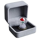 NOLITOY Flor de Rosa Conservada en Cúpula de Cristal Rosas Reales Flores-Nunca Rosa Marchita con Caja de Regalo Rosa Eterna Regalo para Mamá Mujer Esposa Novia Acción de Gracias