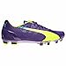 PUMA Men's Evospeed 4.3 Firm Ground Soccer Shoe