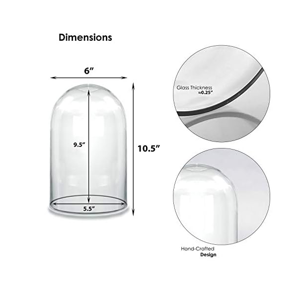 CYS EXCEL Showcase Piece, Cloche Bell Jar Terrarium, No Wood Base, H-10.5" D-6" - Image 3