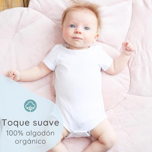Bramble & Bear Body Bebé Manga Corta Pack de 3/6 - Body Bebé Unisex de Algodón Orgánico para Bebés de 0 a 3 años