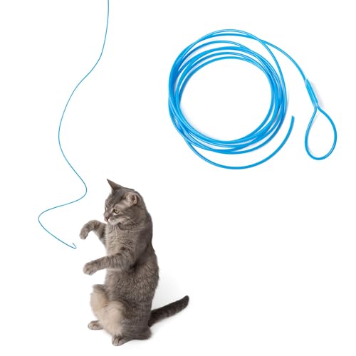 Cat String Toy The 15 best products compared Wild Explained
