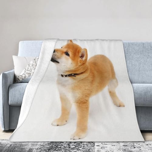 Mineye ѕz VOČ   H~p RpNg [₷  ӂ єȂ I[V[Y ÓdCh~ RۖhL 􂦂 y _炩 tln v[g H~ 80"X60"