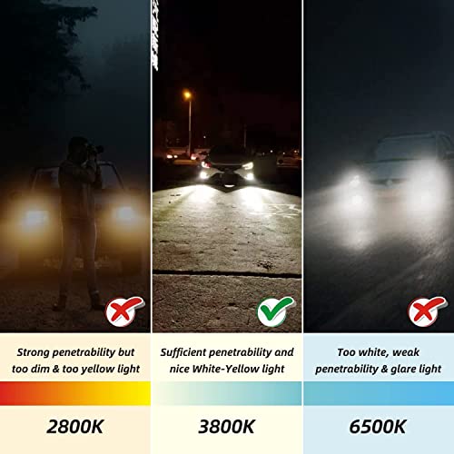 Sinoparcel H7 Halogen High Or Low Beam Headlight,Fog Light Bulb,150% More Brightness Replacement For Standard 55W Bulb,Pack Of 2 #TOP3