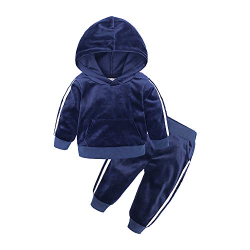 Boys Girls 2Pcs Velvet Hooded Tracksuit Toddler Kids Fleece Hoody Top + Sweatpants Sweatsuit Outfits Set Color 01 3-4T