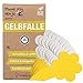 Plant Fly Ninja - Gelbfalle - Gelbsticker gegen Trauermücken 10 Fallen ✓ Hochwirksame und ökologische gelbe Kleberfallen für Pilzmücken und Weißfliegen ✓ Einfache Anwendung ✓ Bis zu 3 Monate