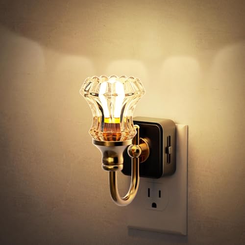 Image of JandCase Night Light, Night Lights Plug into Wall, Glass Floral Nightlight | 0-100LM Dimmable LED Flower Nightlights, Dusk to Dawn Sensor, 1W Vintage Nite Light for Bathroom Hallway Gift Vanity Decor