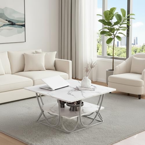 Image of Round Storage Coffee Table Contemporary Coffee Table for Living Room Wood Top with Metal Frame (SQ Black W)