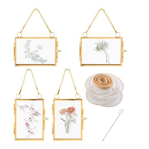 4Pcs Mini Glass Frame Metal Hanging Picture Frames Clear Double Glass Floating Frames Brass Photo Frame with Chain for DIY Plant Specimen Wall Ornament Artwork Display Wall Decor (COLOR:Gold)