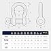 AIROW 316 Stainless Steel D Ring Bow Shackles, Heavy Duty Marine Grade D-Ring Anchor Shackles with Secure Screw Pin, Boat Anchor Chain Connector for Marine, Sailboat, Outdoor, Towing, 5/16