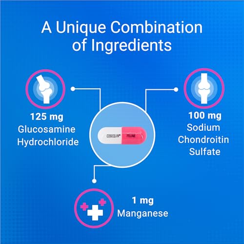 Nutramax Laboratories Cosequin 30 ct Sprinkle Capsules for Cats, 30-count