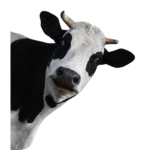 Strategies for Enhancement in Food Production - Z