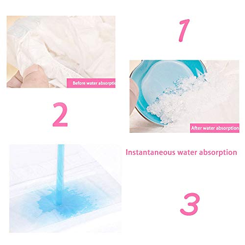 DONO maschio avvolge cane pannolini super