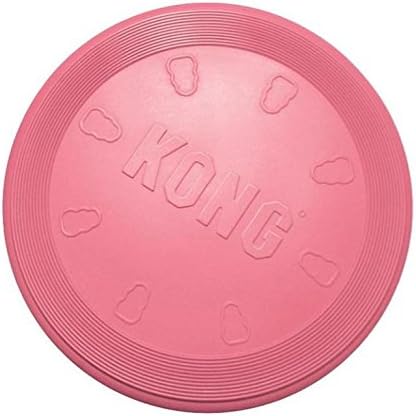 kong frisbees