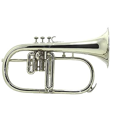 Flugel Horn Pitch Three Valve Key Bb Free Hard Case Mouthpiece CROME