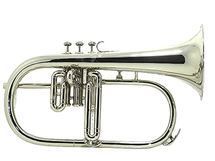 Amazon.com: SCEXPORTS Flugel Horn Pitch Three Valve Key Bb