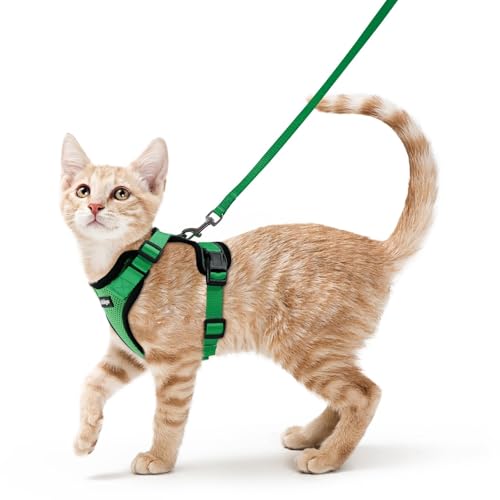 Image of rabbitgoo Cat Harness and Leash Set, Escape Proof Vest, Grass Green | Soft Breathable Mesh, Easy Adjustable Fit, Snap Buckles, Sturdy Clip, Reflective Strips, for Average Cats Walks, S