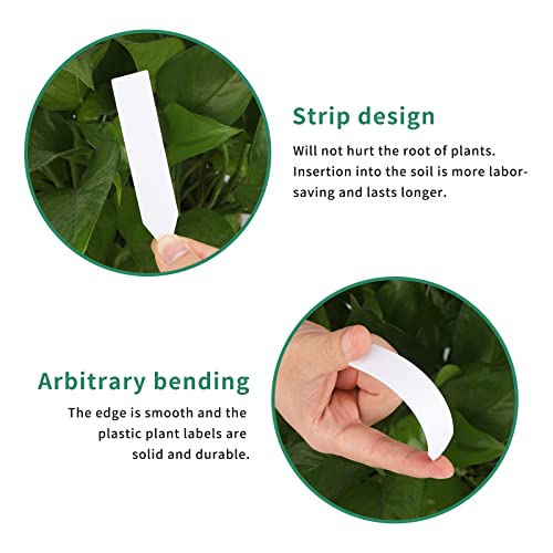 Kinglake TRTAZ11A 100 Pcs 4 Inch Plastic Plant Nursery Garden Labels Pot Marker Garden Stake Tags White thumb #2