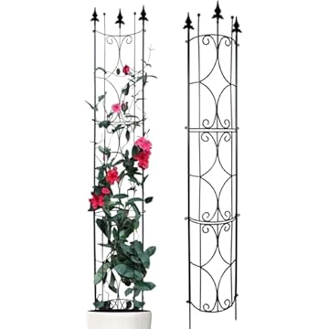 tall metal garden trellis