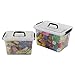 Yubine 2 Pack Clear Plastic Storage Box, Latching Bin with Lid and Handle (12 Quart &6 Quart)