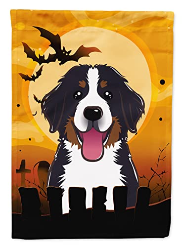 Drapeau d'halloween BB1795CHF Caroline's Treasures pavillon extérieur L