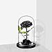 Preserved Roses Black Roses Handmade Real Rose in Glass Dome, Preserved Roses Never Withered Romantic Gifts for Her, Mother's Day, Birthday Gifts for Women (9 inch, Black)