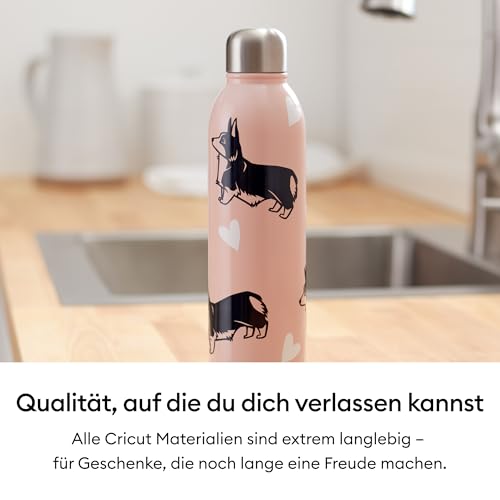 Cricut Smart Vinyl Permanent Joy Xtra 24,1 x 91 cm (Matte, Champagner)