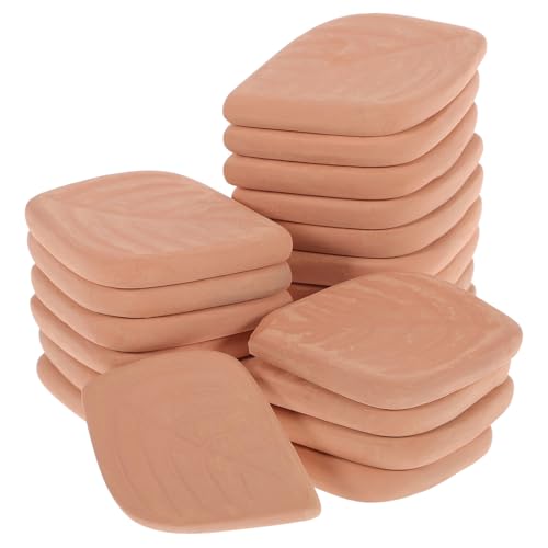 TOYZFRIENDY 20 pièces Absorbeurs Humidité sans Parfum pour Stockage Alimentaire Pastilles Déshydratantes Réutilisables pour Garder Aliments Secs et Frais