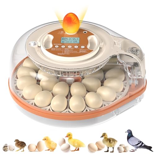 QVKHPCL 26 Egg 3-in-1 Incubator