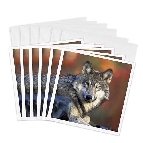 Cartes de vœux loup 3dRose haut de gamme en grand format carré de 15,2 cm