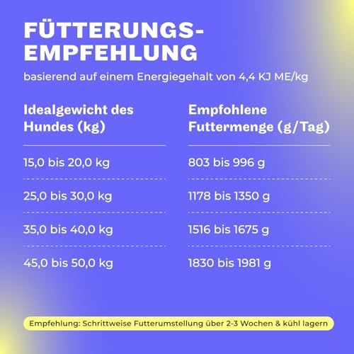 HEY HOLY Premium Nassfutter für Retriever | 18x 400g Hundefutter für ausgewachsene Retriever mit Lamm | Hochverträglich aus natürlichen Zutaten