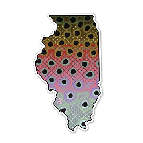 Eds Fly Shop Casey Underwood Illinois Rainbow Decal Sticker