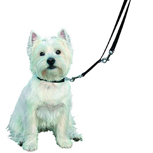 Kumfi Canine Complete Control Lead, Black, S