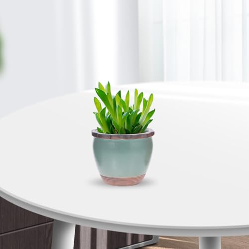 Mini Pots en Céramique Faits pour Durer : Les Jardinières Abaodam Premium - 4