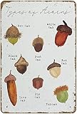 Oudrspo Tipos de bellotas Vintage Metal Tin Sign Poster Wall Art para bar, cocina, jardín, granja, jardín, decoración del hogar, placa de metal de 8x12 pulgadas