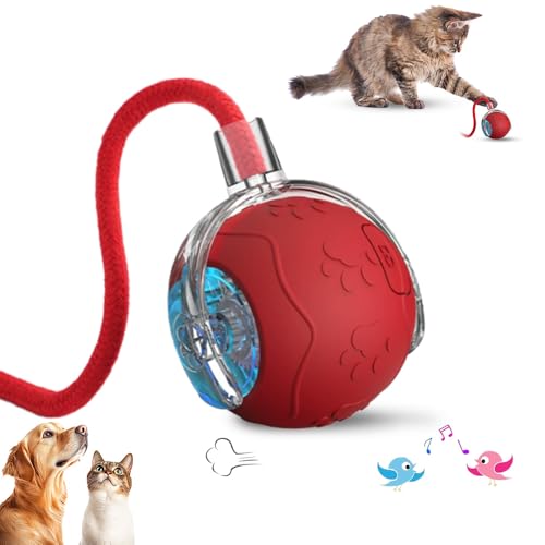 Interactive Cat Toys Ball for Indoor Cats, 2025 New Speedy 3.0 Ta...