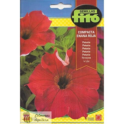 SEMILLAS FITO PETUNIA COMPACTA ENANA ROJA
