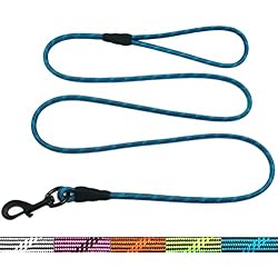 WYuZe Reflective X-Small Dog Leash 6FT Lightweight 1/5