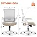 NEO CHAIR Office Desk Gaming Chair Computer High Back Mesh Seat with Rolling Wheels Ergonomic Adjustable Comfy Flip-up Armrests Lumbar Support Height for Home (Beige)