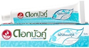 Twin Lotus Herbal Toothpaste Formula Fresh and Cool,150 Gram