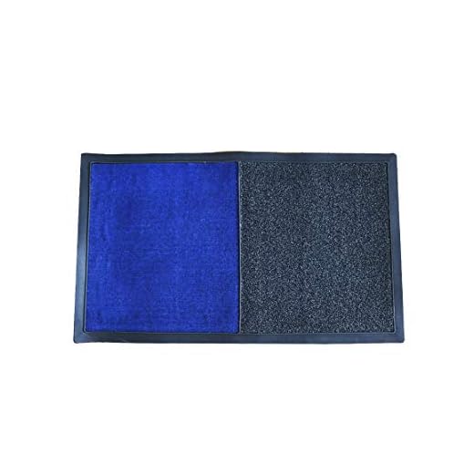 TAPETE EMBORRACHADO SANITIZANTE HIGIENIZADOR 50X85CM (Azul)