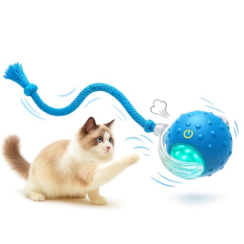Outdoll Interactive Cat Toy Ball Motion Activated Rolling Toy with Chirping Sounds Rechargeable Indoor Exercise Toy for Bored Cats Carpet & Hard Floor Play Blue