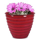 Headwind Robert Allen Ironstone Decorative Planter Avondale Classic Collection,...
