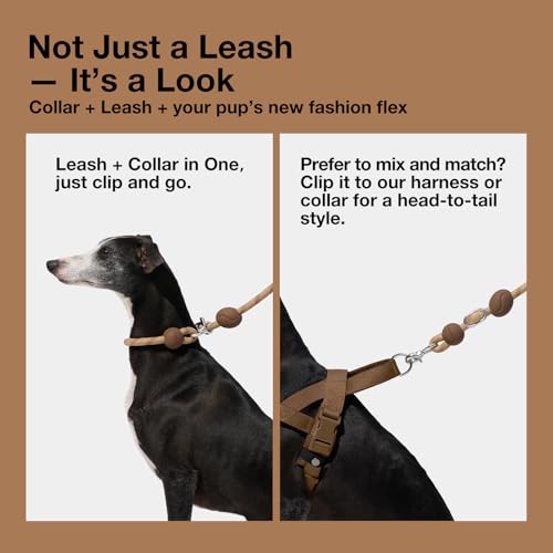 VETRESKA Hands-Free Dog Leash, 8FT Adjustable Rope Leash for Medium Large Dogs, Waist/Crossbody Slip Lead Leashes for Walking, No Pull Dog Leashes with Bag Dispenser, Clip, 3 in 1 Walk Kit (Coffee) - Thumbnail 7