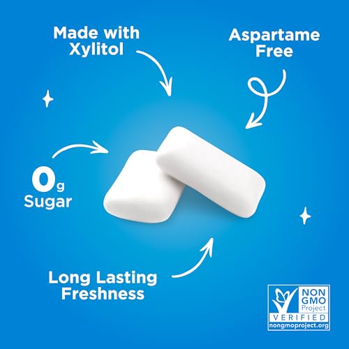 Image of PUR Gum | Aspartame Free Chewing Gum | 100% Xylitol | Natural Peppermint Flavored Gum, 55 Pieces (Pack of 3)