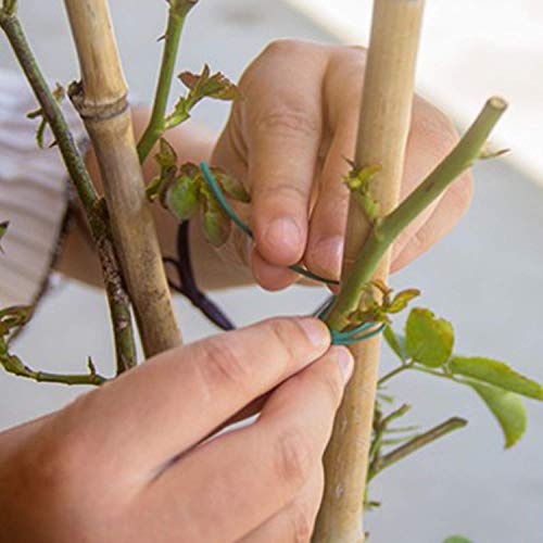 Ubersweet® Imported 164 Feet Garden Twine Plant Ties Ties with Cutter for Gardening Plants Secure Vines Wrapping Cords Office Organization_176915