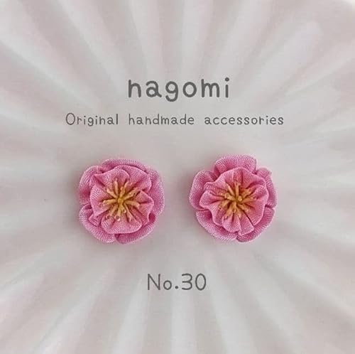 ((No.30)) ܂ݍ׍H ̉ sAX CO